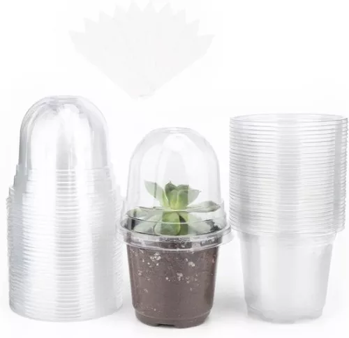 Allecto Plus - 32 kleine plastic plantenpotjes met bolvormig deksel voor zaden en zaailingen - Inclusief 10 plantpluggen
